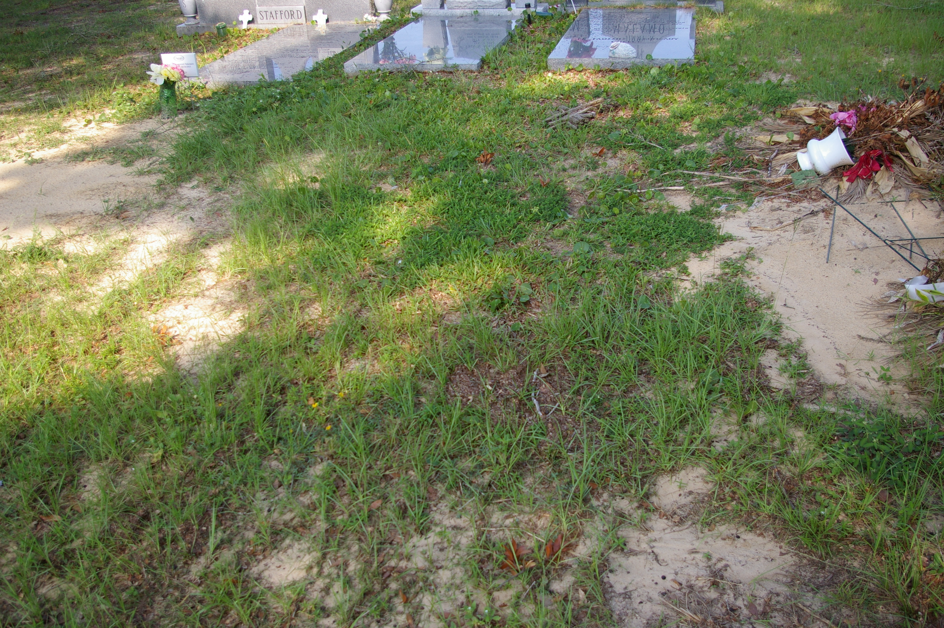 John Apostole Liollio