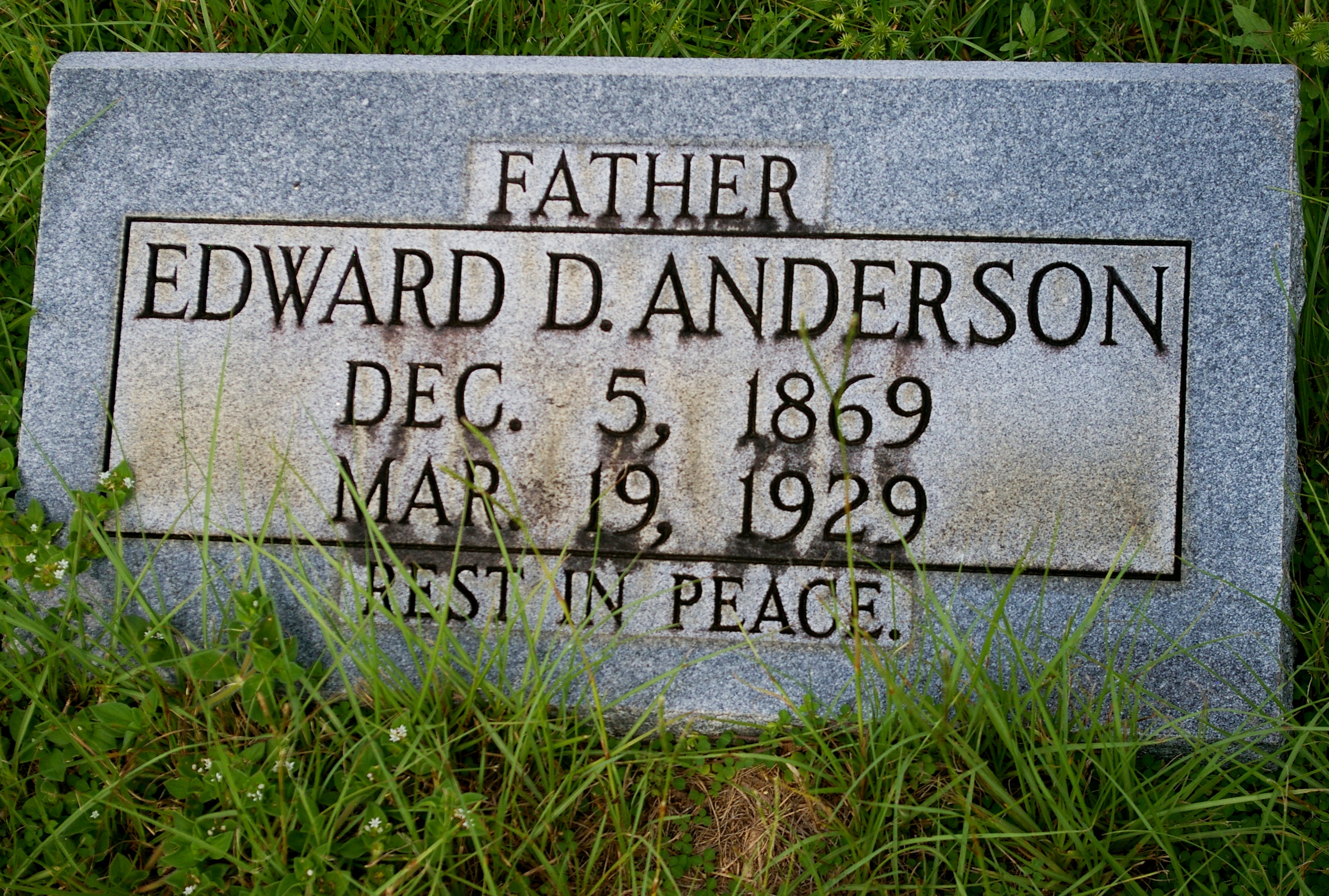 Edward D. Anderson