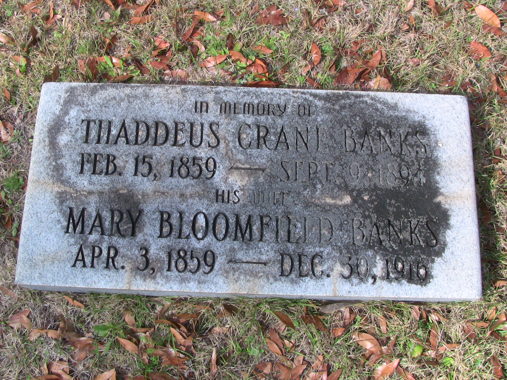 Thaddeus Crane Banks