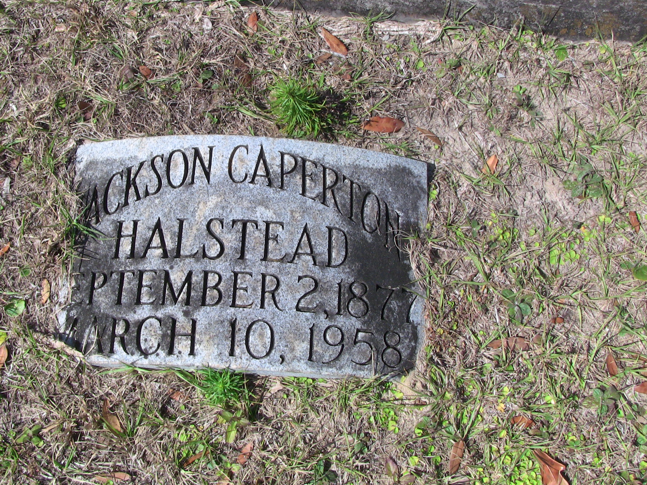 Jackson Carpenton Halstead